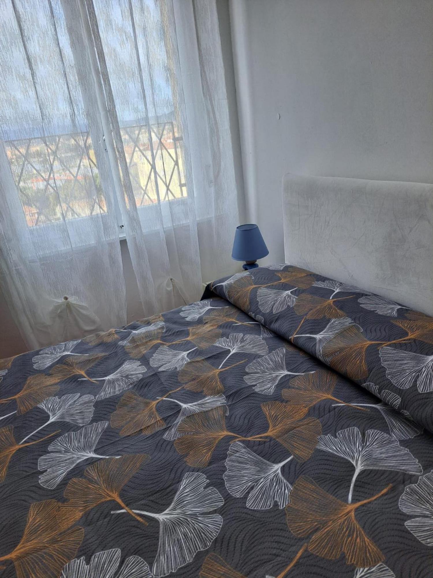 Doryhome *